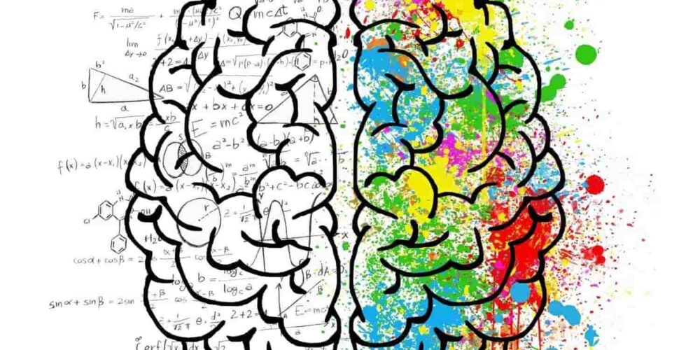 imagen de los dos hemisferios del cerebro, uno de ellos sin color y el otro con distintos colores