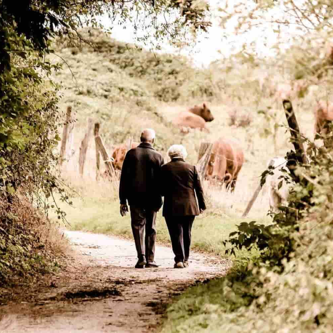 una pareja de adultos mayores va caminando por un camino rodeado de naturaleza