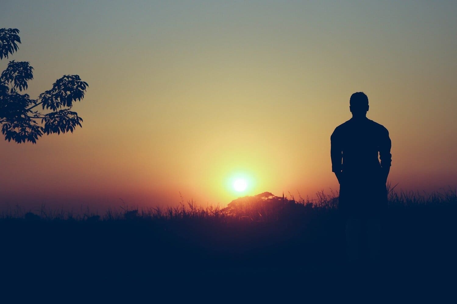 imagen de la sombra de un hombre sentado (solo) viendo la puesta del sol en un lugar que está rodeado de naturaleza