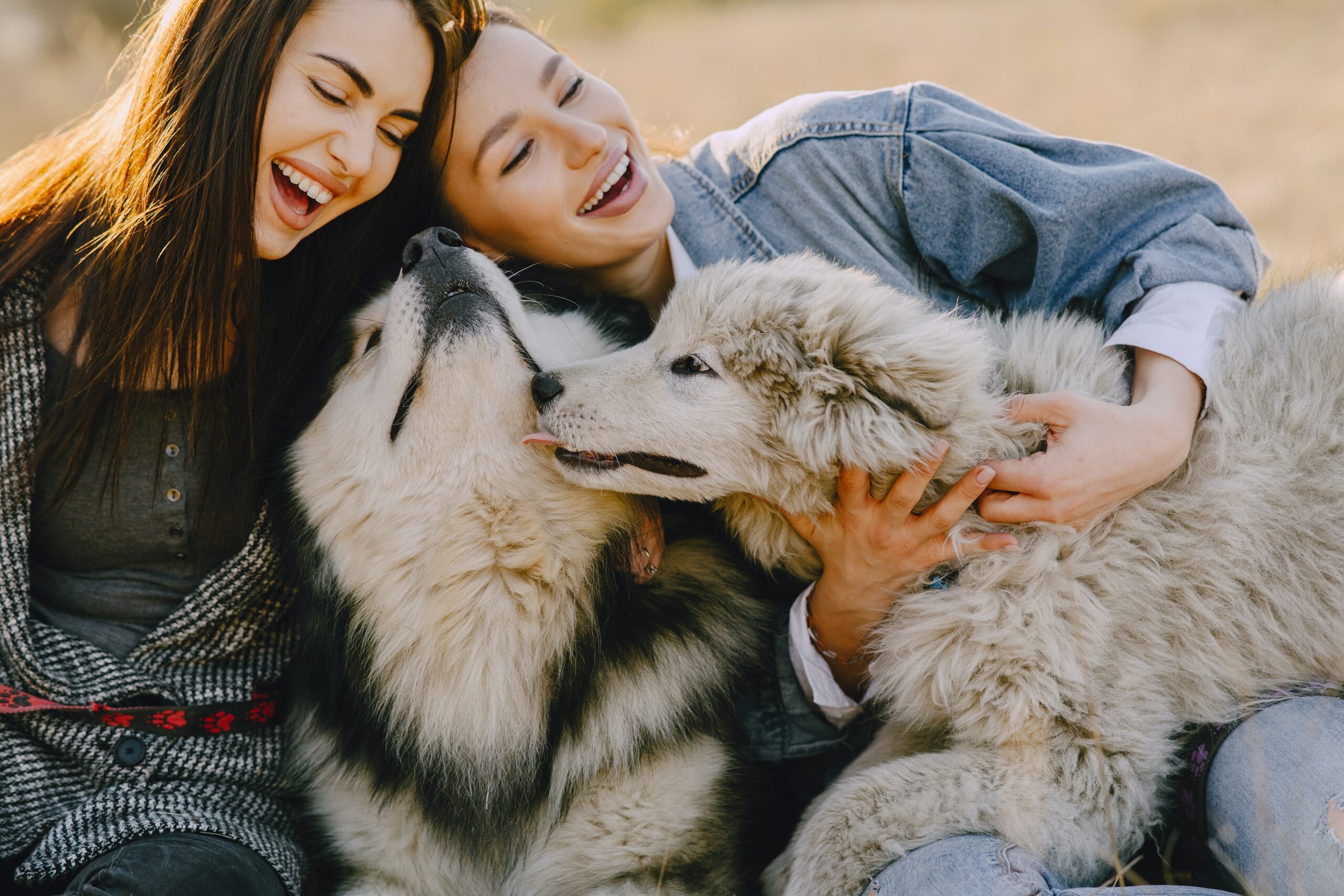 dos mujeres riéndose y en los brazos de cada una, un perro